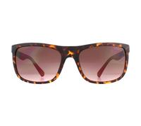 Guess Rectangle Mens Dark Havana Brown Gradient Sonnenbrille Einheitsgröße