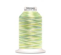 Unbekannt G730809-9963 Garn, Polyester, 9963 Grün, 1000m, 1000 meter