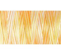 Bauschgarn Bulky-Lock 80 Multicolour, 1.000 m 9914