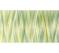 Unbekannt G730809-9963 Garn, Polyester, 9963 Grün, 1000m, 1000 meter