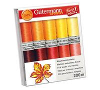Gütermann Rayon 40 Stickfaden-Set-1 (10 x 200 m/ gelb/ orange/ rot)