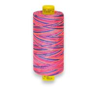 Gütermann Multicolor Allesnäher Nähgarn MARA 120-1000m Nähmaschinengarn Farbverlaufsgarn reißfest für Nähmaschine und Overlock Buntes Nähgarn (9814)