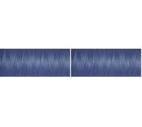 Gutermann 0112 Nähgarn aus Polyester, blau (Shark) 100 m (Packung mit 2)