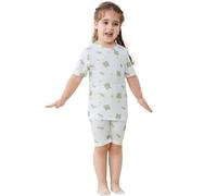 HAHASHOW Schlafanzug Jungen Kurz Sommer Bambus 2-8 Jahre | Bekleidungssets für Mädchen，T-shirt und Shorts，Bequem und atmungsaktiv，Maschinenwaschbar，Weich und hautfreundlich
