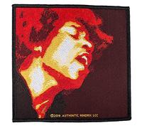 Halle 15 Clothes Jimi Hendrix Electric Ladyland Aufnäher Jimi Hendrix Patch Gewebt & Lizenziert !!