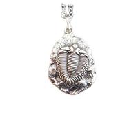 Halskette aus 925er Sterlingsilber mit Trilobitenfossil|Kleiner Anhänger mit urzeitlichem Meeresleben|Anhänger mit ausgestorbenen Arthropoden|Geschenk für paläozoische Naturbiologen | mit 45,7 cm |
