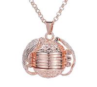 Halskette Gold Weltkugel Kette AnhäNger KettenläNge Goldkette Ankerkette Sterling Silber Herz KöNigskette Schlangenkette Silberkette (Roségold)