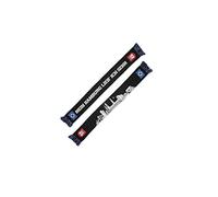 Hamburger SV HSV Schal Fanschal ** Skyline **