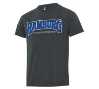 Hamburger SV HSV T-Shirt Shirt ** Aik ** (DE/NL/SE/PL, Alphanumerisch, 3XL, Regular, Regular, Grau)