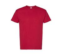 Hanes Athletic Crimson 10 5XL