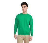 Hanes Herren EcoSmart Fleece, Pullover Crewneck, 1 Or 2 Pack Sweatshirt, Kelly Green-1er-Pack, 4X-Large