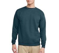 Hanes Herren EcoSmart Fleece Pullover Crewneck 1er Oder 2er Pack Sweatshirt, Metallic-Blaugrün, 1 Stück, X-Large