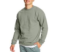 Hanes Herren EcoSmart Fleece, Pullover Crewneck, 1 Or 2 Pack Sweatshirt, Stonewashed Green-1 Pack, Large