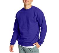 Hanes Herren EcoSmart Fleece Pullover Crewneck 1er Oder 2er Pack Sweatshirt, Violett, 1 Stück, Large
