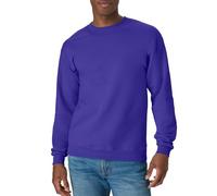 Hanes Pullover EcoSmart Fleece Crewneck Herren – Violett – Größe S – 1 Stück