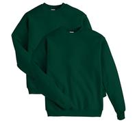 Hanes Herren EcoSmart Fleece Sweatshirt Baumwollmischung Pullover Crewneck Sweatshirt für Männer 1er oder 2er Pack wählbar, Deep Forest - 2er-Pack, Large