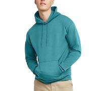 Hanes Herren EcoSmart Hoodie Midweight Fleece Sweatshirt Pullover Hooded Sweatshirt für Männer, Spanisches Moos, Large