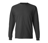 Hanes Herren Langarmshirt Beefy-T (2er Pack), Smoke Grey, X-Groß