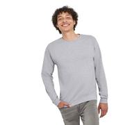 Hanes Herren Langarmshirt ComfortSoft Longsleeve 4er Pack - grau - Mittel