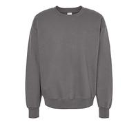 Hanes Herren-Sweatshirt aus Baumwolle mit Rundhalsausschnitt, smoke grey, Medium