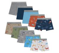 Hanes Underwear, Soft Boxer Briefs for Boys and Toddlers, Comfort Flex Waistband, Multipacks, Days of The Week, Blue, Tan, Green