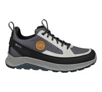 Hanwag Damen Rotpunkt Light Low GTX Schuhe (Größe 38, grau)