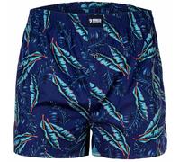 Happy Shorts Herren American Boxer Boxershorts Shorts Webboxer mexikanischer Kaktus - Mexican Cactus