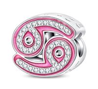 HappyStar Charm Buchstabe A~Z Charms Anhänger Silber 925,12 Zodiac Geburtstag Bead Charms für Damen,Rosa Geschenk,Passend für Pandora Europäische Armbänder und Halsketten