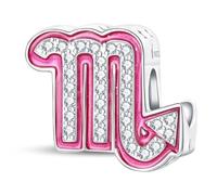 HappyStar Charm Buchstabe A~Z Charms Anhänger Silber 925,12 Zodiac Geburtstag Bead Charms für Damen,Rosa Geschenk,Passend für Pandora Europäische Armbänder und Halsketten
