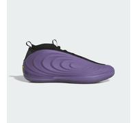 Harden Volume 10 Schuh Tech Purple / Core Black / Lucid Lemon 49 1/3
