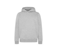 Kapuzensweatshirt HARLEM SOUL, Herren, Gr. XS, grau, Material: 65% Baumwolle, 35% Polyester, unifarben, casual, lässig geschnitten, Rundhals, Langarm eingesetzt Rippbündchen, Sweatshirts, mit weicher