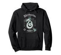 Harry Potter 2025 Slytherin Pride Pullover Hoodie