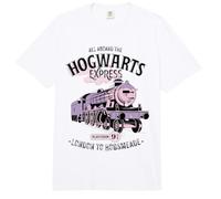 Harry Potter All Aboard The Hogwarts Express Comfort Colors Adult Heavyweight T-Shirt