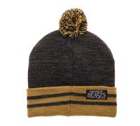 Harry Potter Fantastic Beasts Newt Scamander Pom Beanie