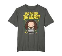 Harry Potter Have You Seen This Wizard? Sirius Black Chibi T-Shirt, Herren Große Größen, Anthrazit, 4X Tall