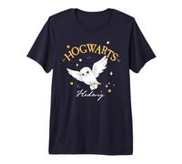 Harry Potter Hedwig Hogwarts Letter Premium T-Shirt