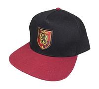 Harry Potter Heroes Inc Curved Bill Cap Badge Gryffindor Caps tzen