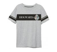 Harry Potter Herren T-Shirt „Triwizard Tournament“ | V-Ausschnitt | Grau,XXL
