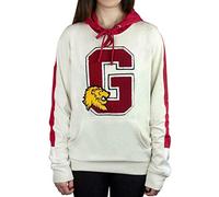 Harry Potter Hogwarts Gryffindor G Patch Logo Premium Hoody/Hoodie