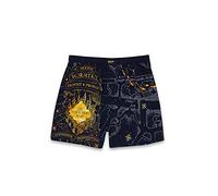 Harry Potter Hogwarts Häuser Herren Briefly Stated Boxershorts Unterwäsche - Blau - Medium