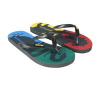 Harry Potter - "Hogwarts Houses" Flipflops für Herren/Damen Unisex (Bunt) EU 43 / UK 9