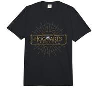 Harry Potter Hogwarts Legacy Full Colour Logo Comfort Colors Adult Heavyweight T-Shirt