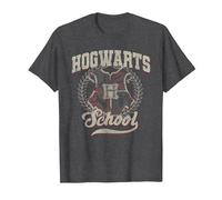 Harry Potter Hogwarts School Distress T-Shirt, Herren, Anthrazit Meliert, XXL