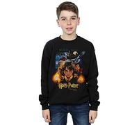Harry Potter Jungen The Sorcerer's Stone Poster Sweatshirt Schwarz 9-11 Years