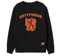 Harry Potter Jungen Winter Sweatshirt Kinder Pullover Kapuzenpullover Hoodie warm Sweatshirt Winter Kinder Geschenk Gr. 134/140 146/152 158/164 cm. (DE/NL/SE/PL, Numerisch, 158, 164, Regular, Schwarz)