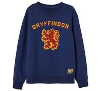 Harry Potter Jungen Winter Sweatshirt Kinder Pullover Kapuzenpullover Hoodie warm Sweatshirt Winter Kinder Geschenk Gr. 134/140 146/152 158/164 cm. (DE/NL/SE/PL, Numerisch, 158, 164, Regular, Blau)
