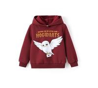 Harry Potter Kapuzenpullover für Kinder, Mädchen, Jungen, Gryffindor, Slytherin, Ravenclau, Hufflepuff, Pullover, Kapuzen-Sweatshirt, Hogwarts-Kleidung, Weinrot, 4-5 Jahre