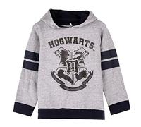 Harry Potter Kapuzenpullover Kinder Mädchen Jungen Hoodie Teenager Hedwick Sweatshirt Pullover Gr. 116 r. 176 Offiziell Merchandise (DE/NL/SE/PL, Numerisch, 116, Regular, Grau)