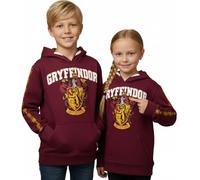 Harry Potter Kinder Hoodie - Offiziell lizenziertes Gryffindor Sweatshirt | Kastanienbrauner Baumwollpullover mit Wappen & Ärmeldruck | Unisex Größen 1-13 Jahre, kastanienbraun, 3-4 Years