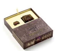 Harry Potter: Monster Book Schlüsselanhänger und Ansteckpin Geschenkset